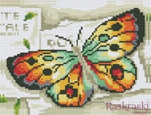 Картина из мозаики Радужный бабочка (JA1132, частичная выкладка) Диамантовые ручки (GU_188638, Без подрамника) фото интернет-магазина Raskraski.com.ua
