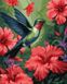 Раскраски по номерам В райском саду ©art_selena_ua (KH6577) Идейка — фото комплектации набора