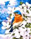 Картина за номерами Пташка на яблуневій гілці (AS0052) ArtStory — фото комплектації набору