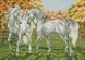 Картина алмазами Пара білих коней (37 х 52 см) Dream Art (DA-31714) — фото комплектації набору