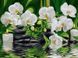 Картина по номерам Белая орхидея (VK012) Babylon — фото комплектации набора