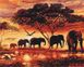 Раскраски по номерам Слоны в саване (BSM-B5189) — фото комплектации набора
