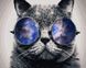 Малюнок по цифрам Космічний кіт (BRM21679) — фото комплектації набору