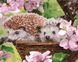 Алмазные картины-раскраски Ёжики в корзинке (GZS1050) BrushMe (Без коробки) — фото комплектации набора