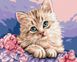 Раскраска по номерам Синеглазый котенок (BSM-B29696) — фото комплектации набора