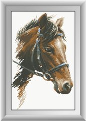 Алмазная живопись Конь (полная зашивка, квадратные камни) Dream Art (DA-30242, Без подрамника) фото интернет-магазина Raskraski.com.ua