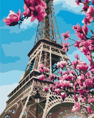 Картини за номерами Цвітіння магнолій у Парижі (BSM-B32320) фото інтернет-магазину Raskraski.com.ua