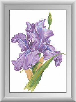 Картина из страз Ирис (квадратные камни, полная зашивка) Dream Art (DA-30336, Без подрамника) 22 х 32 см фото интернет-магазина Raskraski.com.ua