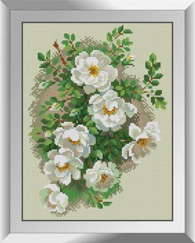 Алмазная вышивка Белый шиповник Dream Art (DA-31227, Без подрамника) 27 x 36 см фото интернет-магазина Raskraski.com.ua