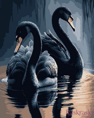 Картина по цифрам Черные лебеди (ART-B-0745) Artissimo фото интернет-магазина Raskraski.com.ua