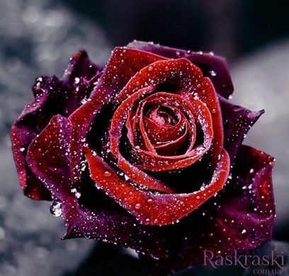 Алмазна вишивка Роса на троянді ТМ Алмазная мозаика (DMF-123) фото інтернет-магазину Raskraski.com.ua