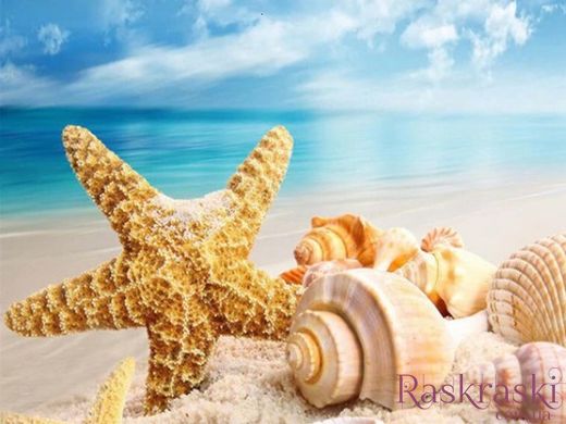 Алмазна мозаїка Пляж і черепашки My Art (MRT-TN998) фото інтернет-магазину Raskraski.com.ua