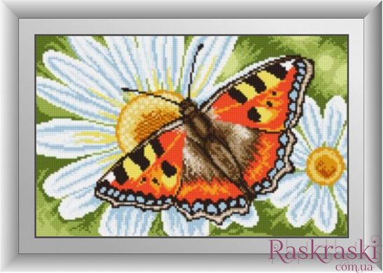 Алмазна мозаїка Метелик на ромашці Dream Art (DA-30365) фото інтернет-магазину Raskraski.com.ua