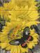 Картина по номерам на дереве Бабочка на цветах (ASW077) ArtStory — фото комплектации набора