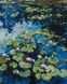 Картины по номерам Водяные лилии (KH2858) Идейка — фото комплектации набора