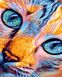 Картина за номерами Яскравий кіт (BRM43696) — фото комплектації набору