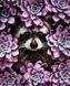 Картина стразами Єнотик у квітах з голограмними стразами My Art (MRT-TNG1600) — фото комплектації набору