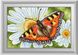 Алмазна мозаїка Метелик на ромашці Dream Art (DA-30365) — фото комплектації набору