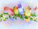 Алмазная вышивка Целующиеся попугаи ТМ Алмазная мозаика (DMF-202, На подрамнике) — фото комплектации набора