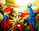 Картины по номерам Попугаи в тропиках (BRM41873) — фото комплектации набора