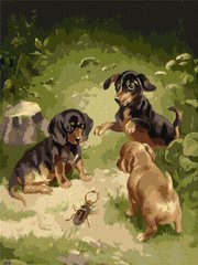 Холст для рисования Игры щенков ©Carl Reichert (KHO4363) Идейка (Без коробки)