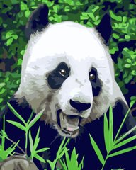 Раскраски по номерам Голодная панда (SR-GS517) Strateg (Без коробки)