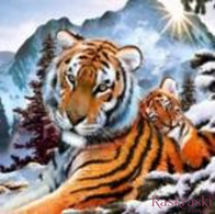 Картина из мозаики Семья тигров (ME20400) Диамантовые ручки (GU_178196, На подрамнике) фото интернет-магазина Raskraski.com.ua