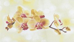 Алмазна живопис Орхідея Алмазна мозаіка (OSH002) фото інтернет-магазину Raskraski.com.ua