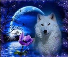 Алмазная вышивка Белый волк ТМ Алмазная мозаика (DMF-274, На подрамнике) фото интернет-магазина Raskraski.com.ua