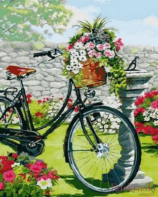 Малюнок по цифрам Велосипед в квітучому саду (VP795) Babylon фото інтернет-магазину Raskraski.com.ua