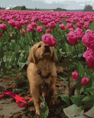 Розмальовка для дорослих Собачка в квітах (BK-GX38264) (Без коробки)
