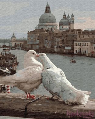 Картини за номерами Любов та голуби (BK-GX39281) (Без коробки)
