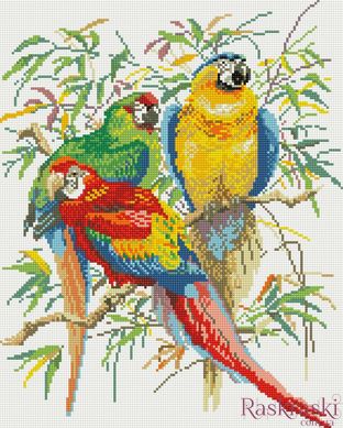 Алмазная живопись Разноцветные попугаи Никитошка (GJ071, На подрамнике) фото интернет-магазина Raskraski.com.ua