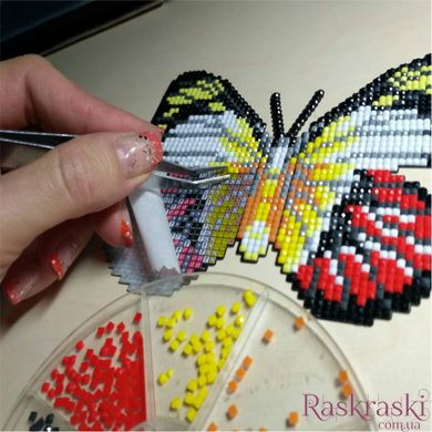 Набір алмазна мозаїка Коргі Арт Соло (АТМ46) фото інтернет-магазину Raskraski.com.ua