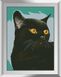 Картина из мозаики Черный кот Dream Art (DA-31428, Без подрамника) — фото комплектации набора