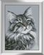 Набор алмазная мозаика Серый кот Dream Art (DA-31378, Без подрамника) — фото комплектации набора