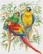 Алмазная живопись Разноцветные попугаи Никитошка (GJ071, На подрамнике) — фото комплектации набора