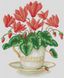 Алмазная мозаика Цветок в чашке (34 х 41 см) Dream Art (DA-31709, Без подрамника) — фото комплектации набора