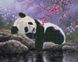Алмазная картина Панда на озере (BGZS1152) НикиТошка — фото комплектации набора