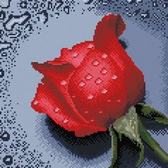 Алмазная мозаика Роза красная ColorArt (CLR-PTT602, На подрамнике) фото интернет-магазина Raskraski.com.ua