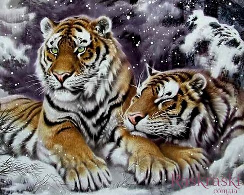 Алмазная техника Пара тигров в снегу My Art (MRT-TN1020, На подрамнике) фото интернет-магазина Raskraski.com.ua