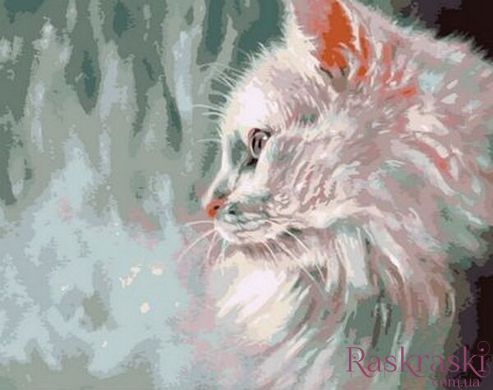 Раскраска для взрослых Белый кот (MR-Q785) Mariposa фото интернет-магазина Raskraski.com.ua