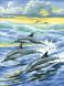 Алмазная живопись Семья дельфинов ТМ Алмазная мозаика (DM-043, Без подрамника) — фото комплектации набора
