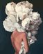 Картина по номерам Женственные пионы. Эми Джадд (MR-Q2236) Mariposa — фото комплектации набора