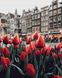 Картина за номерами Тюльпани амстердама (BRM34169) — фото комплектації набору