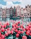 Алмазная техника Тюльпаны Амстердама My Art (MRT-TN997, На подрамнике) — фото комплектации набора