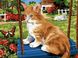 Картина по номерам Рыжий котик на качели (VK115) Babylon — фото комплектации набора
