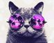 Картина по номерам Тропический кот (PGX29637) Brushme Premium — фото комплектации набора