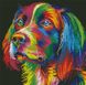 Алмазна вишивка Райдужний пес (36 х 36 см) Dream Art (DA-31661) — фото комплектації набору