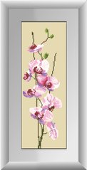 Набор алмазная мозаика Орхидея (панель) (полная зашивка, квадратные камни) Dream Art (DA-30038, Без подрамника) фото интернет-магазина Raskraski.com.ua
